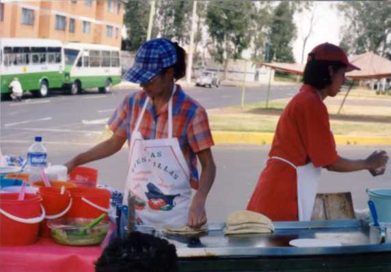 Las famosas "quecas de las Bombas", bueno, al menos estas del camellón, porque hay muchas otras...